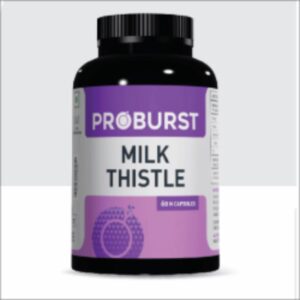 Milk Thistle Capsules (Proburst Liver Care, 60)