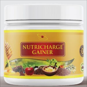 Nutricharge Gainer Protein Powder (500g)