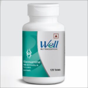 Well Sunchondroitin Tablets (Joint Care, 120 tablets)